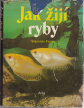 Jak ij ryby, 1977