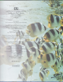 Akvarijn a jezrkov ryby, 2006