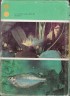 Akvarijn ryby, 1968