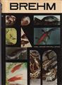 BREHM ivot zvierat 2, ryby obojivelnky plazy, 1971