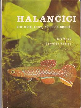 Halanci, 1988