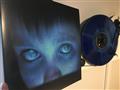 Porcupine Tree  Fear Of A Blank Planet