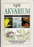 Vae Akvrium, 1994