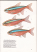 Tropikalne ryby akwariowe, 1985