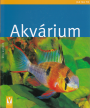 Akvrium, 2008