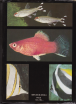 Veľký obrazový atlas rýb, 1989