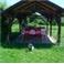 Gazebo and dog